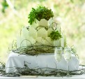 Link to: Fenix goes to the bridal expo