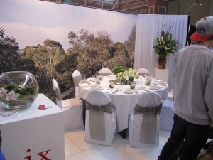 IMG_0528 copy
