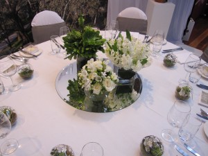 IMG_0536 copy