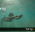 Link to: Bing launches first Aus marketing campaign