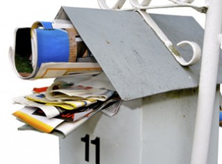 Link to: Study praises junk mail’s effectiveness